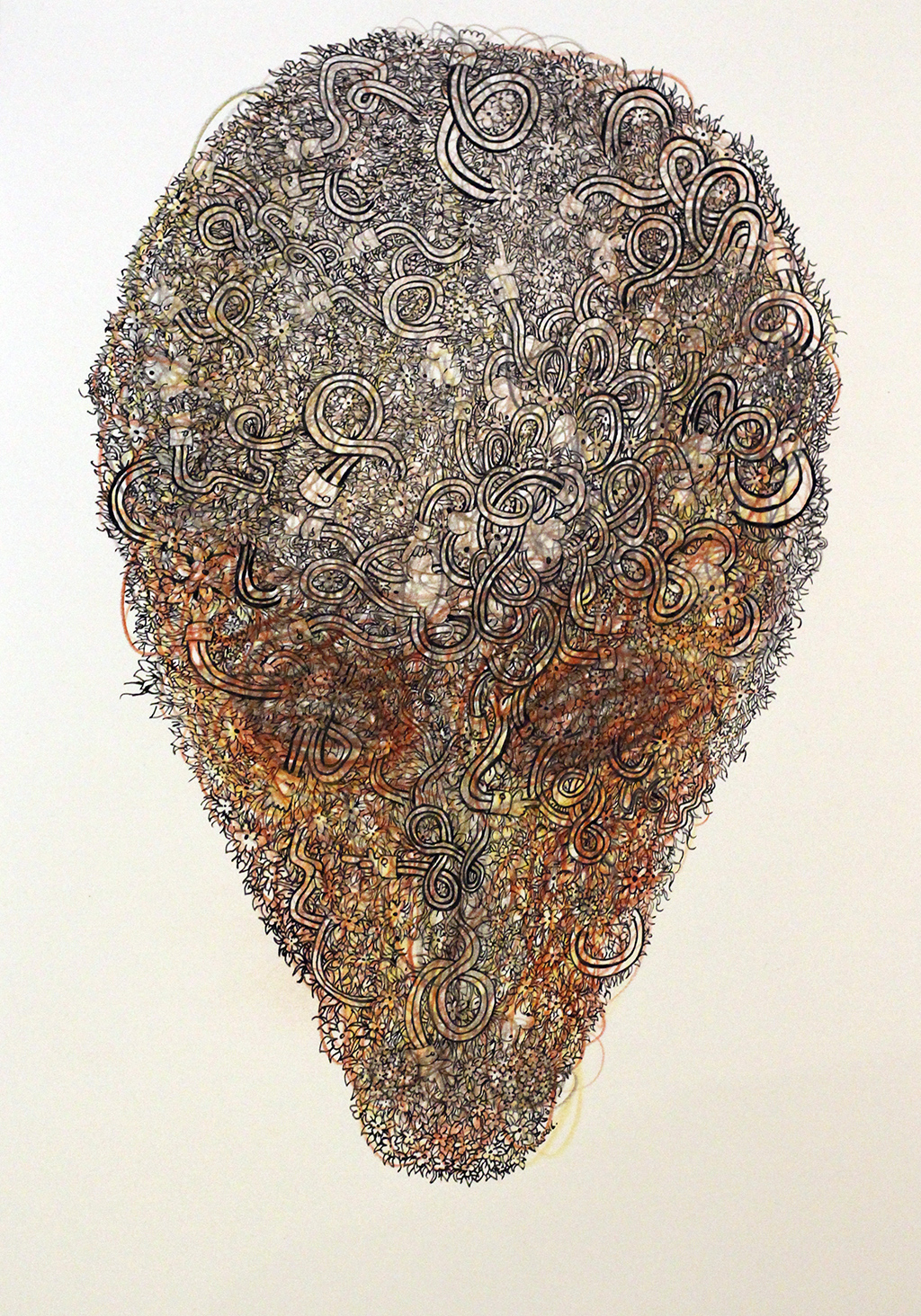 headofthemedusaweb